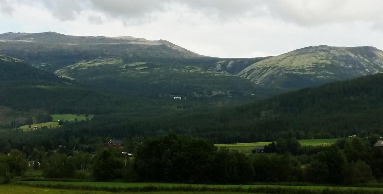 Tronsvangen Seter Alvdal المظهر الخارجي الصورة