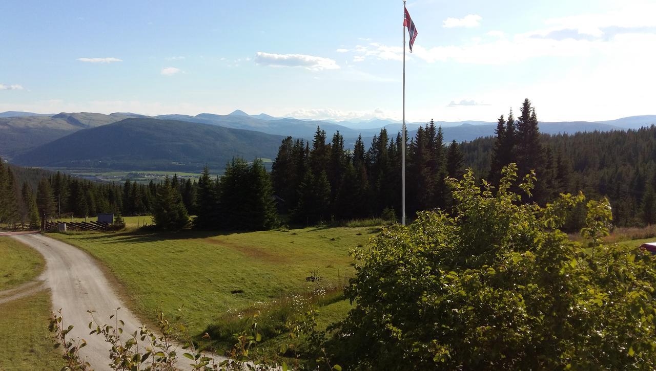 Tronsvangen Seter Alvdal المظهر الخارجي الصورة