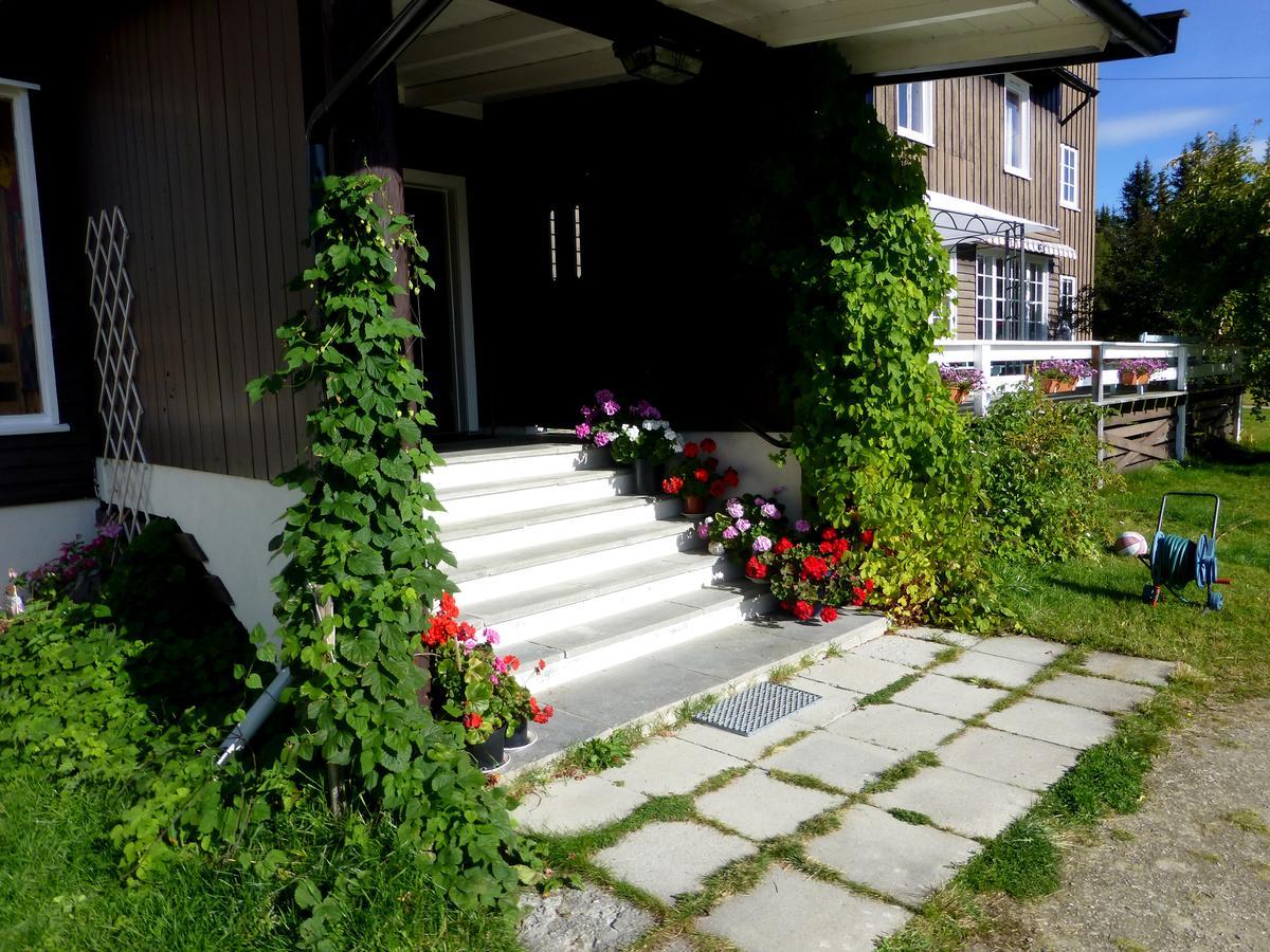 Tronsvangen Seter Alvdal المظهر الخارجي الصورة