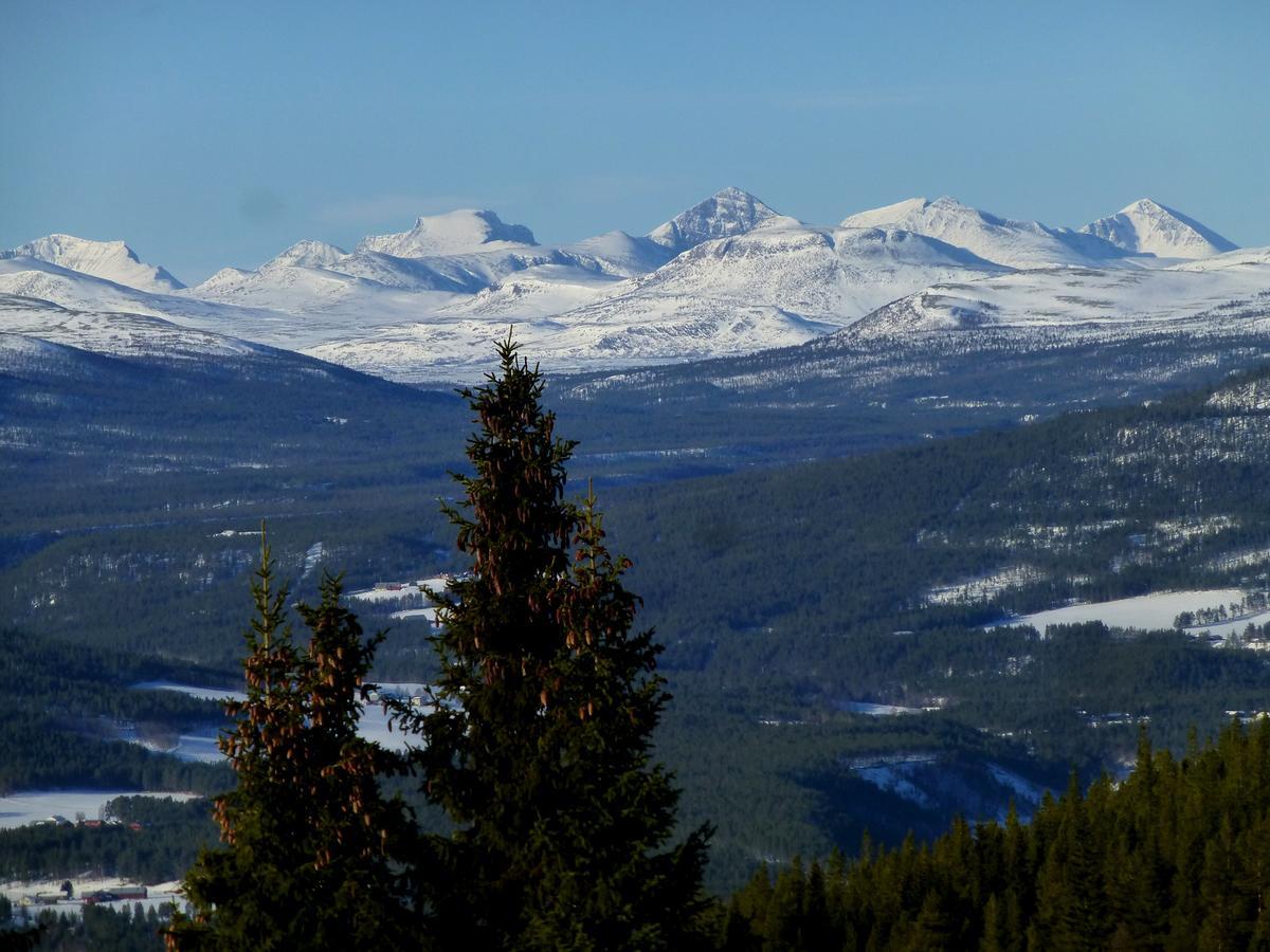 Tronsvangen Seter Alvdal المظهر الخارجي الصورة