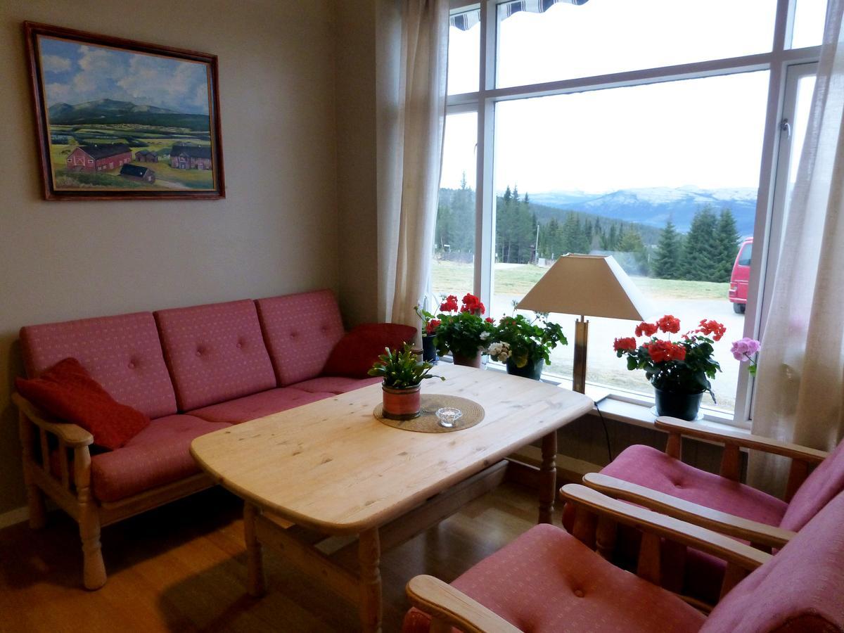 Tronsvangen Seter Alvdal المظهر الخارجي الصورة
